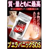�I�ձ�SOS Puera Panic��Ч���ء�ƽ����ü�ľ��� 15��