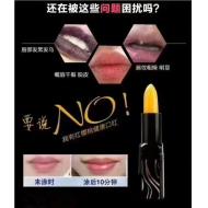 Legend age���������ӣ�ҽ�ɫ�������ں�